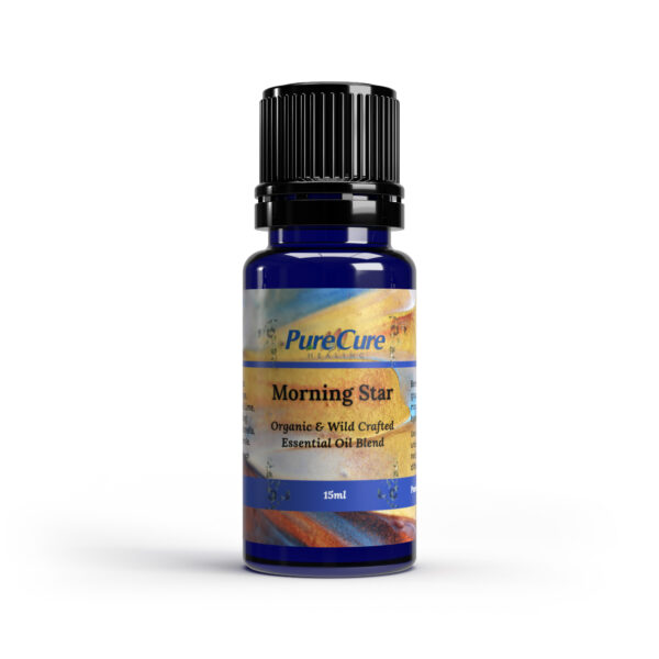 Morning Star | Relaxation